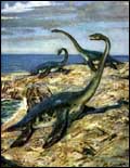 плезиозавры